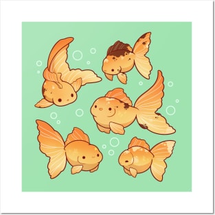 Cute goldfish Posters and Art